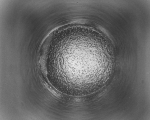 X0000081270923200701181713