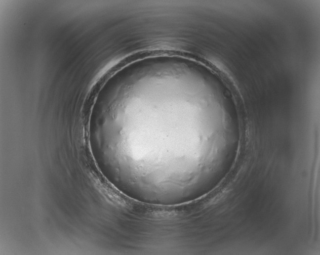 X0000081270925200701181713