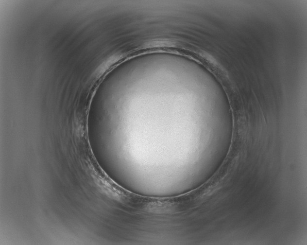 X0000081270929200701181713