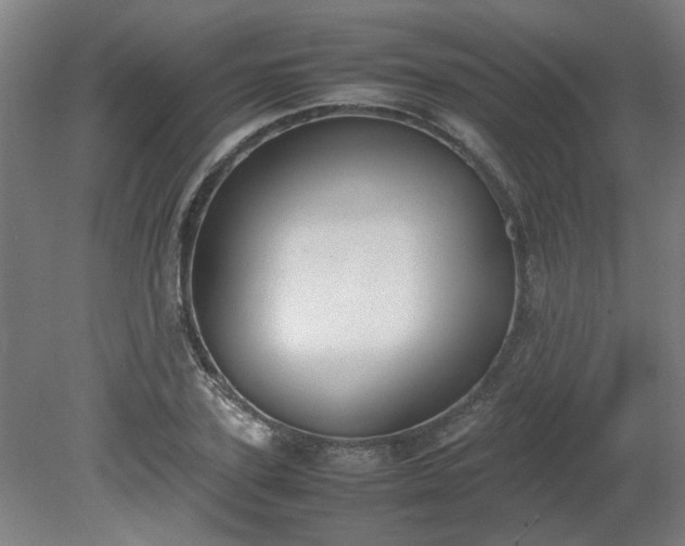 X0000081270931200701181713