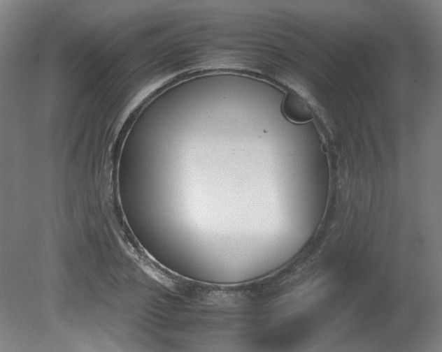 X0000081270933200701181713