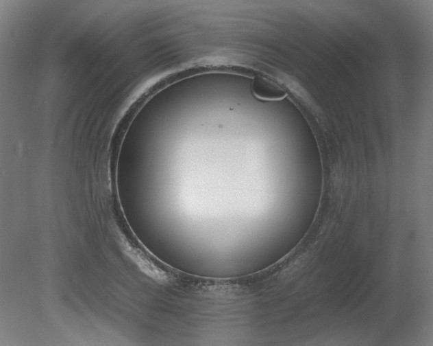 X0000081270934200701181713