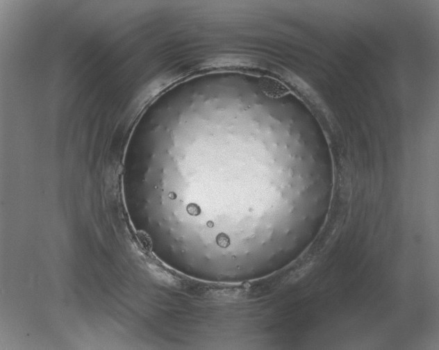 X0000081270937200701181713