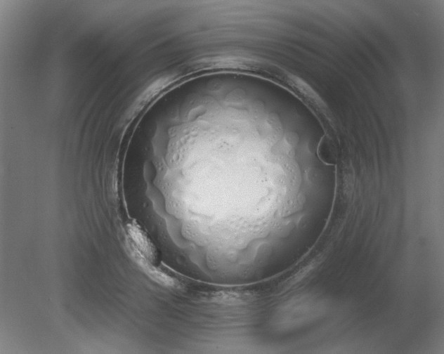 X0000081270938200701181713