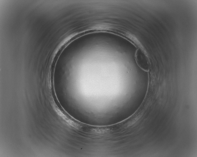 X0000081270939200701181713