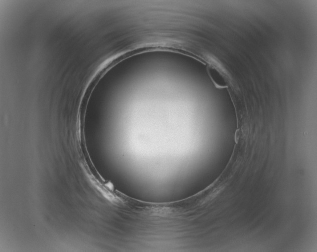 X0000081270940200701181713