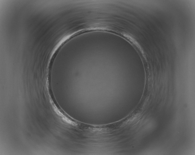 X0000081270941200701181713