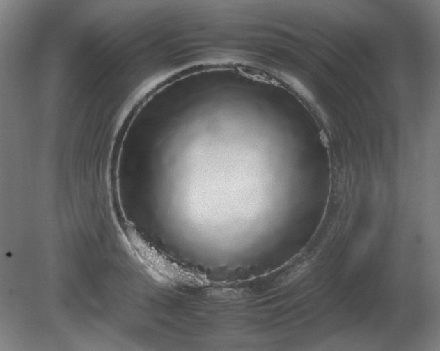 X0000081270943200701181713