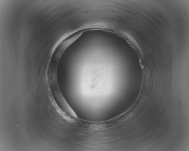 X0000081270944200701181713
