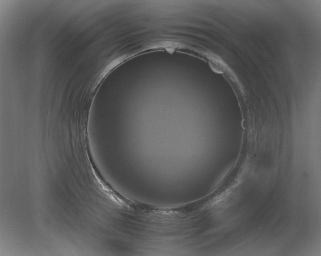 X0000081270945200701181713