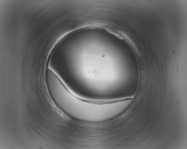 X0000081270948200701181713