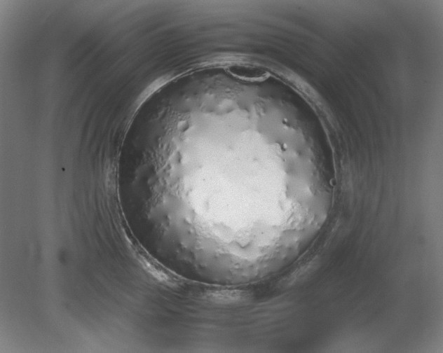 X0000081270953200701181713