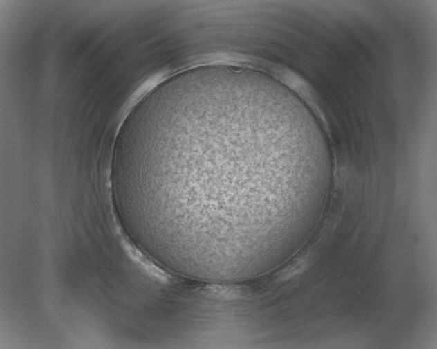 X0000081270954200701181713