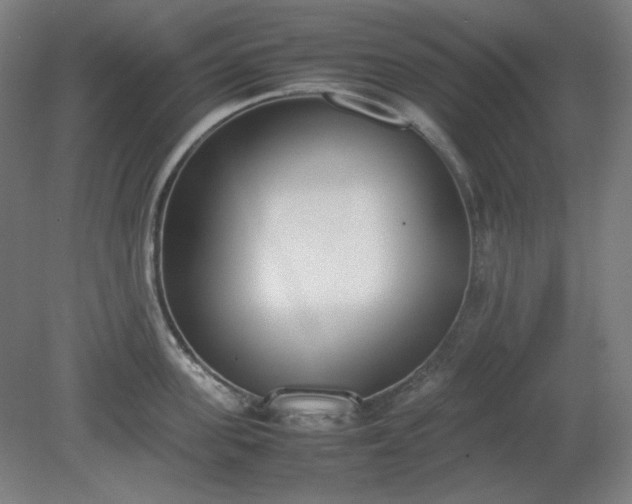 X0000081270955200701181713