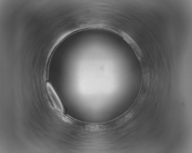 X0000081270956200701181713