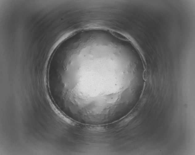 X0000081270957200701181713