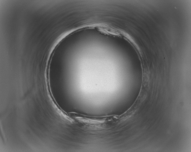 X0000081270959200701181713