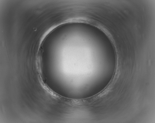 X0000081270960200701181713
