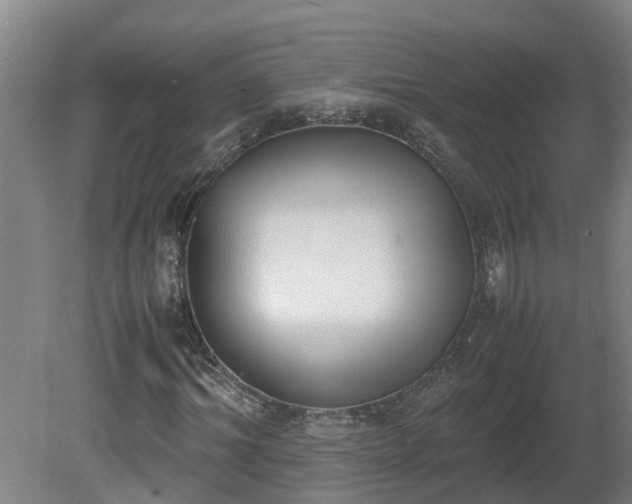 X0000081270964200701181713