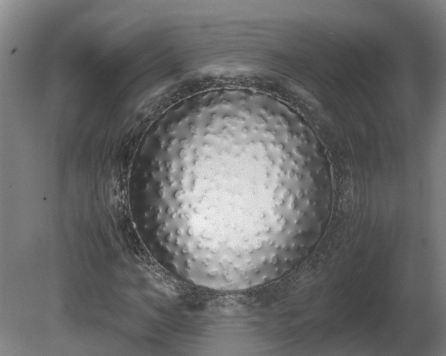 X0000081270966200701181713