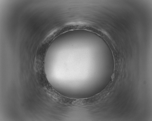 X0000081270967200701181713