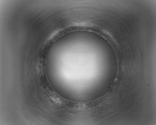 X0000081270968200701181713