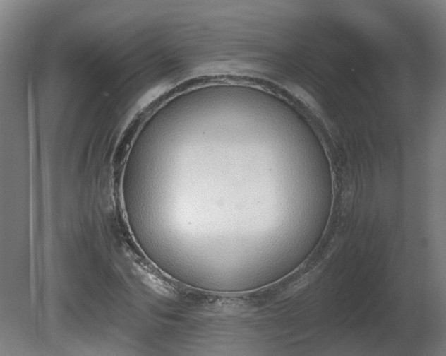 X0000081270974200701181712