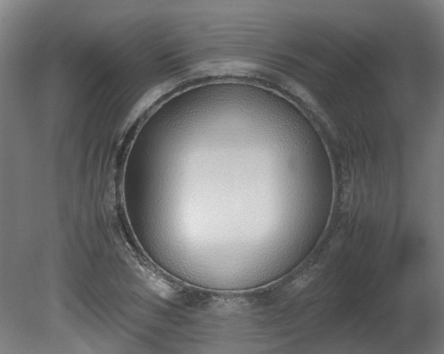 X0000081270978200701181712