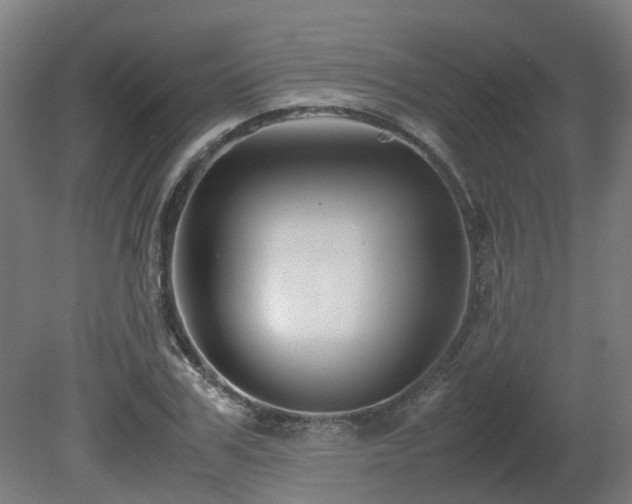 X0000081270979200701181712