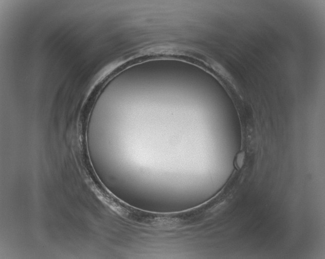 X0000081270981200701181712