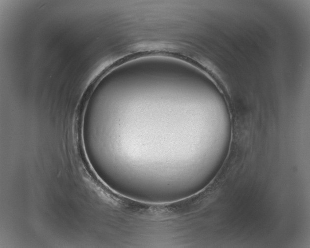 X0000081270983200701181712