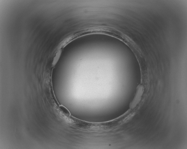 X0000081270985200701181712