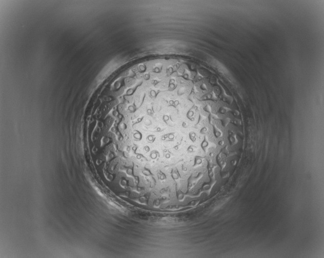 X0000081270986200701181712