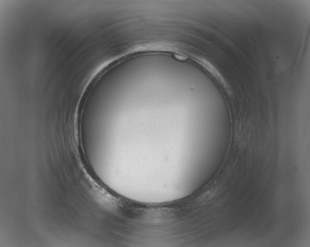 X0000081270988200701181712