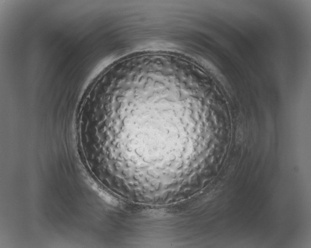 X0000081270990200701181712
