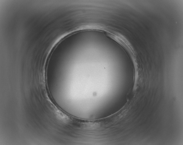 X0000081270996200701181712