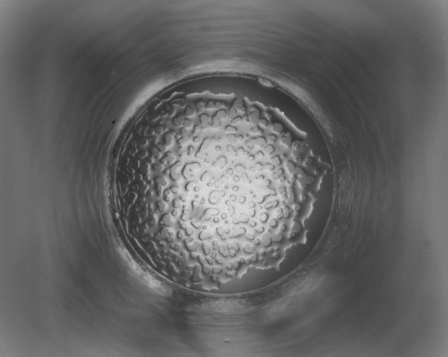 X0000081270998200701181712