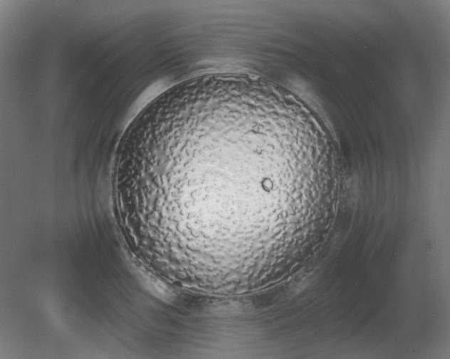 X0000081271002200701181712