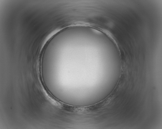 X0000081271003200701181712