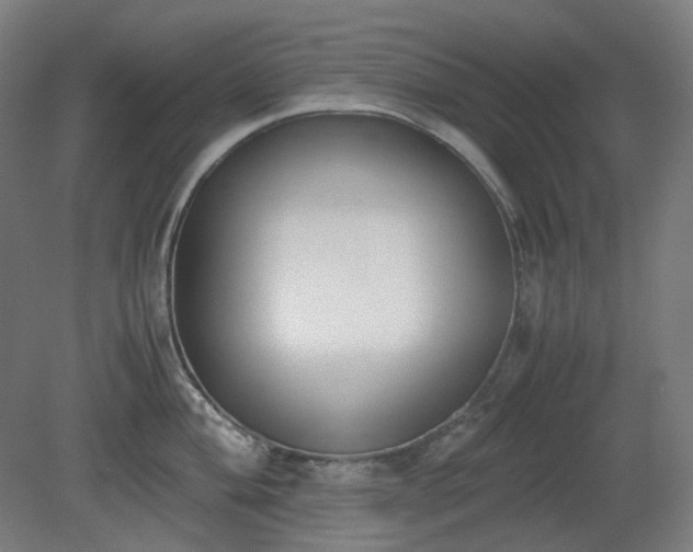 X0000081271004200701181712