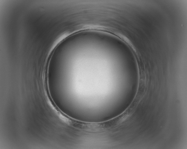 X0000081271007200701181712