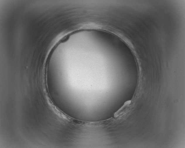 X0000081271008200701181712