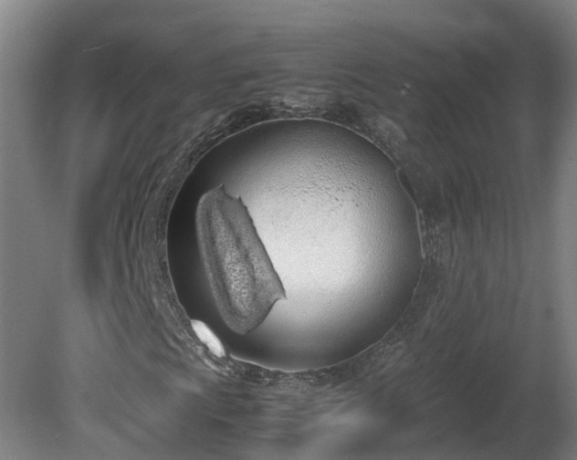 X0000081271009200701181711