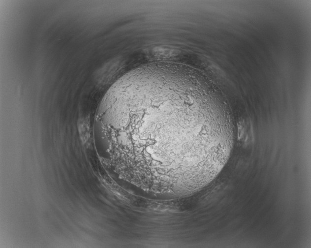 X0000081271011200701181711