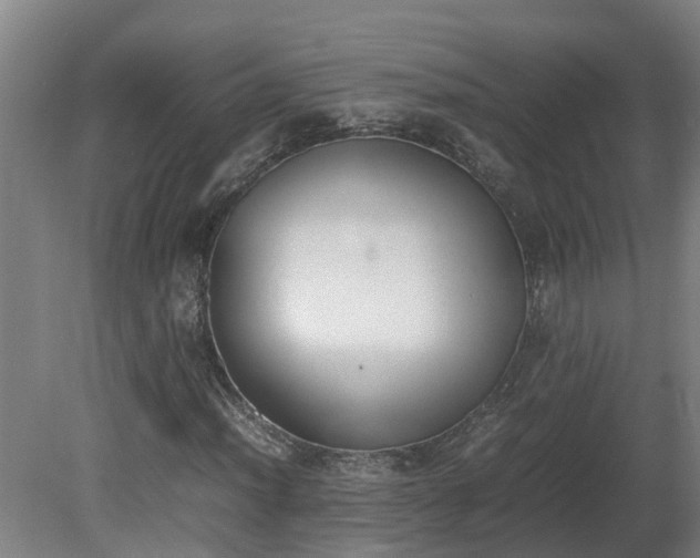 X0000081271012200701181711