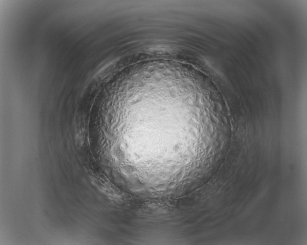 X0000081271015200701181711