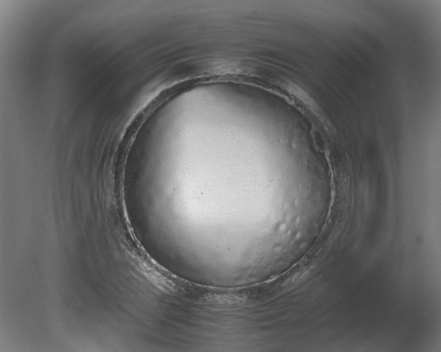 X0000081271023200701181711
