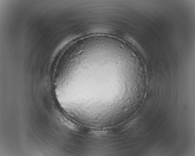 X0000081271027200701181711