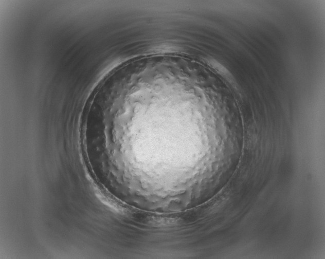 X0000081271039200701181712