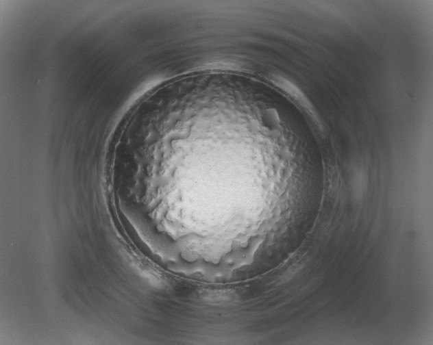 X0000081271043200701181712